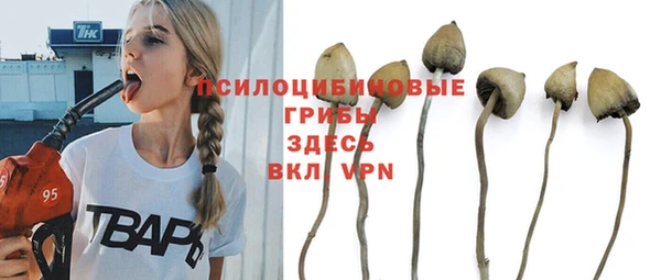 mdpv Нефтекумск
